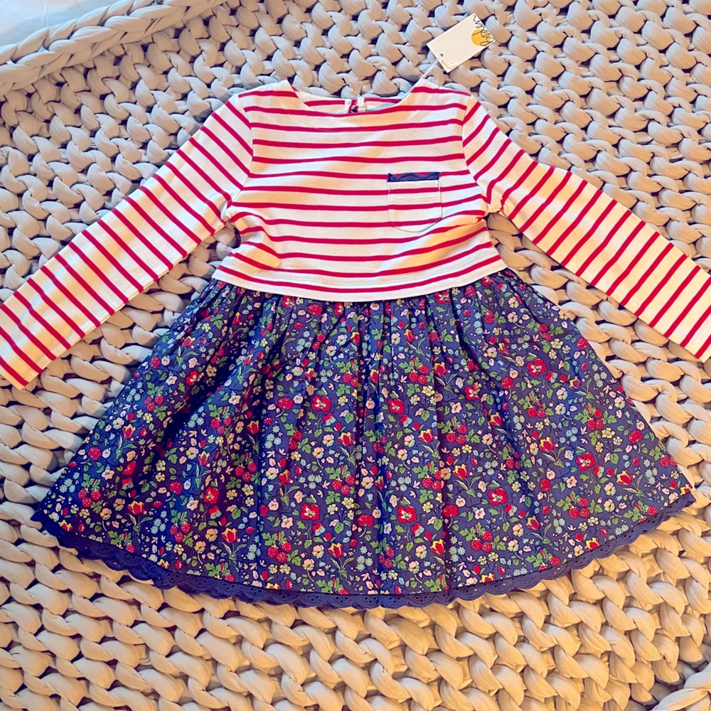 Mini Boden Autumn Berry Floral Dress 3-4Y NWT